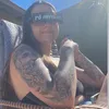 elizabretedaily