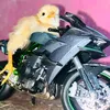 darkzin970