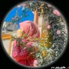 sweetoo750