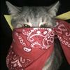 azizahhh_46