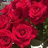 sugarnspice557