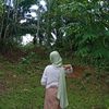 aulia1235279