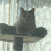 catdaddy000