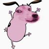 kwi.nanna