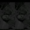 shini_460