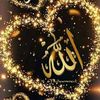 user203782048
