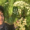 rapp_1h