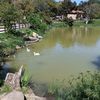 mohamad_amine10