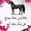 user30147044477390