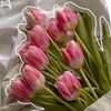 anisha_304