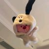 callme_han6