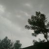 m.a1_s