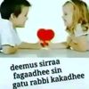 haarunamirhaarunamin