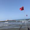 dibrani_ff2