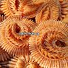 Nokshi pitha ghor