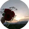 user9561196303955