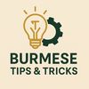 burmesetipstricks