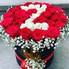 zeynep.bozan24