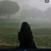 nhy_442