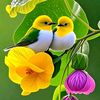 sweety33754