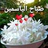 yasmint_alsham6