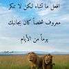 user48124183516074
