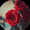 ahmad.lover57
