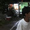 hasirama755
