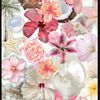 abeer.alshehry2