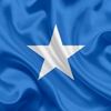 sahra.ahmed583