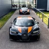 nicklas873