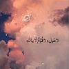 n.ody7233
