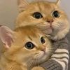 tanialoves0