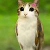anto_82820