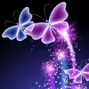 user5788428761565