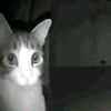 sebas_tt68