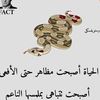 maher.ali2220