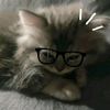 motii.ro