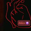belico5309