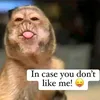 kissess476