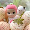 kiran_aput