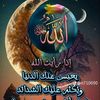 user4356149166798