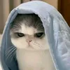 itz_sieth