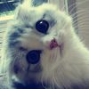 riyan.riyanty.ria