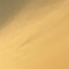 _sia010