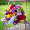 dalilater480