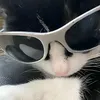 zhys_8