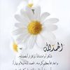 user2705307053462