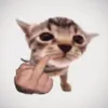 eloimie12