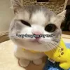 dangyeuthi0